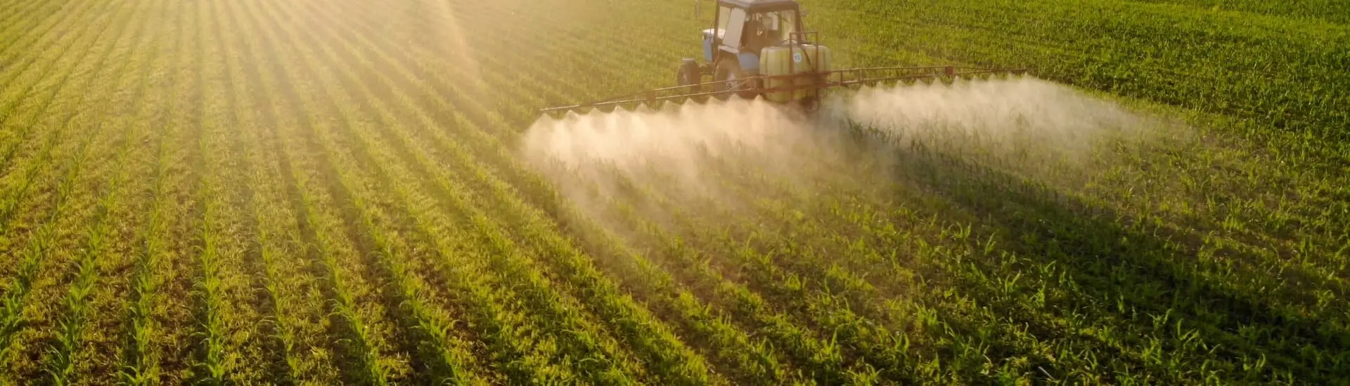 Tractor in the field